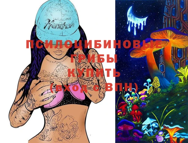 метадон Новозыбков