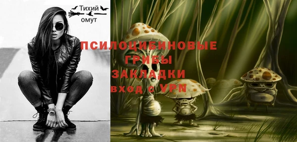 метадон Новозыбков
